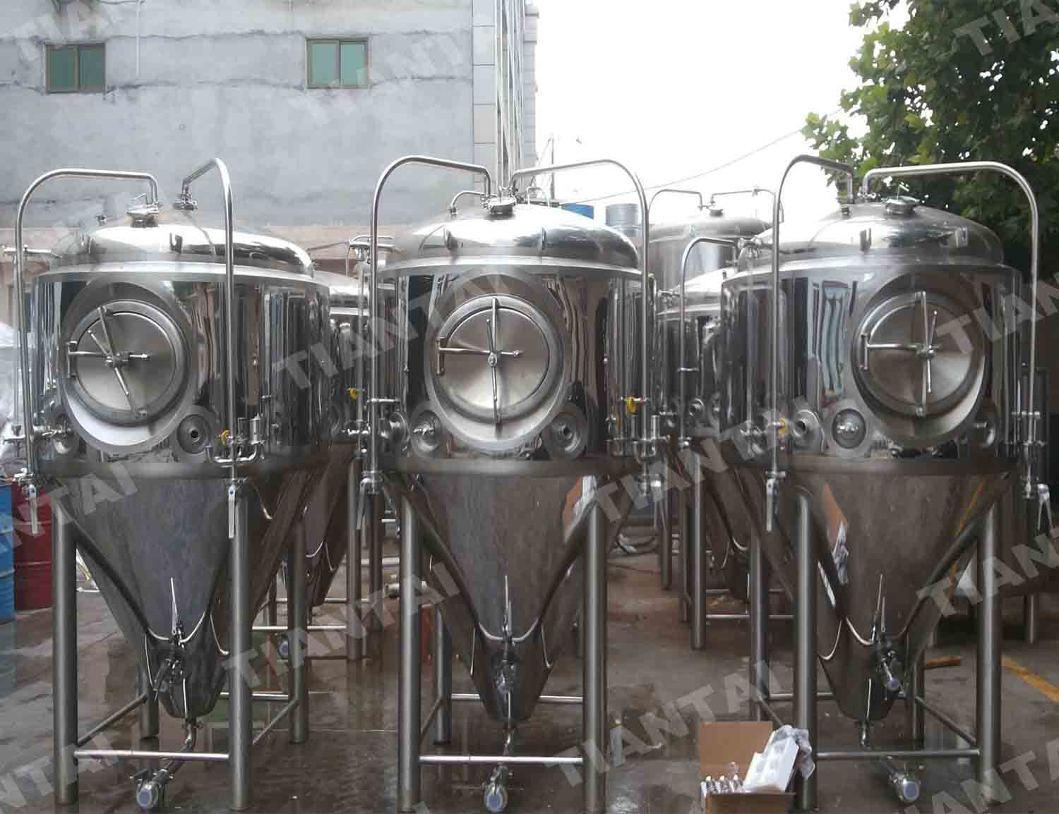 <b>Secondary Fermentation</b>